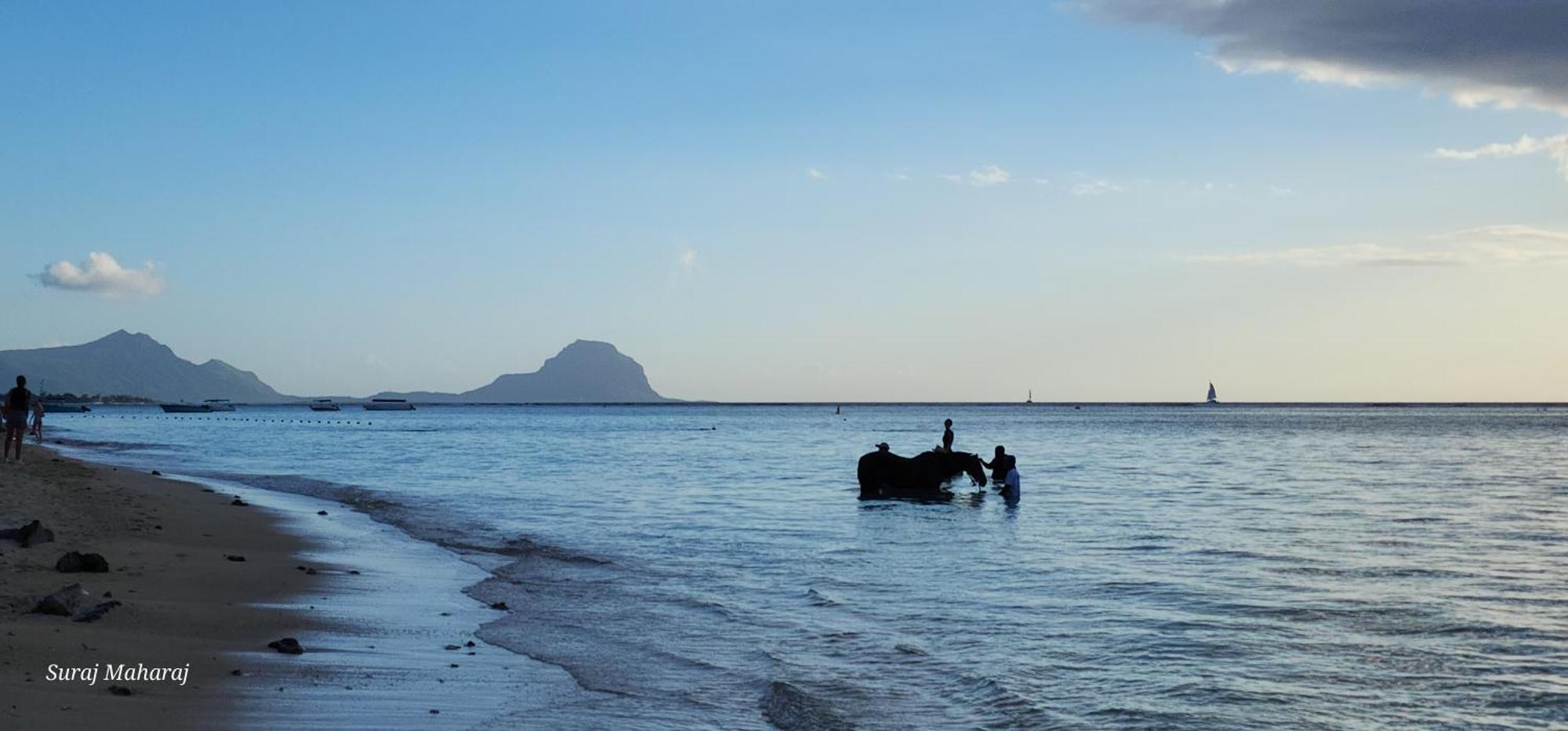 Driftwood Beach Apartment "Oasis In Paradise" Flic-en-Flacq 外观 照片